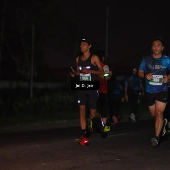 Runner Photo 4504550
