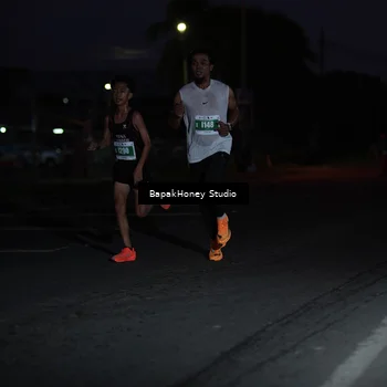 Runner Photo 4504591