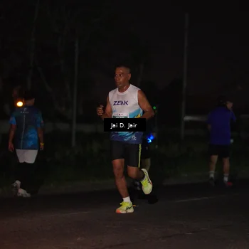 Runner Photo 4504706