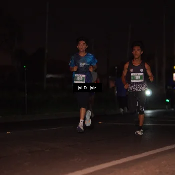 Runner Photo 4504947