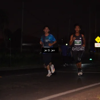 Runner Photo 4504974