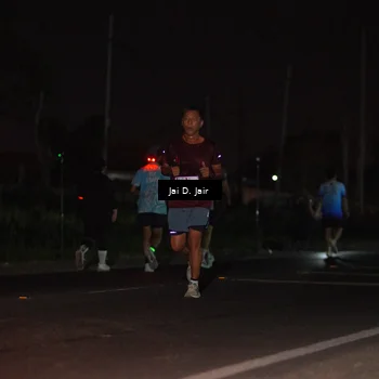 Runner Photo 4505034