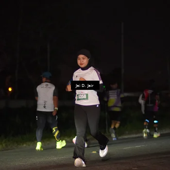 Runner Photo 4505085