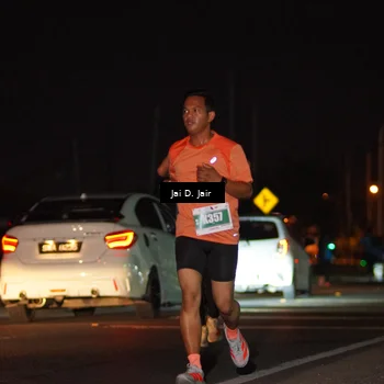 Runner Photo 4505276