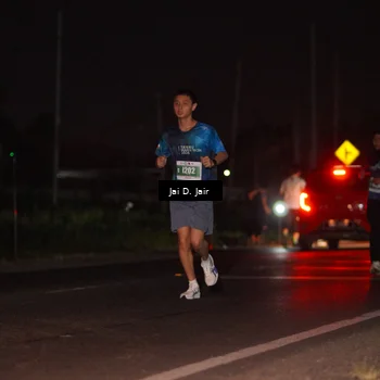 Runner Photo 4505323