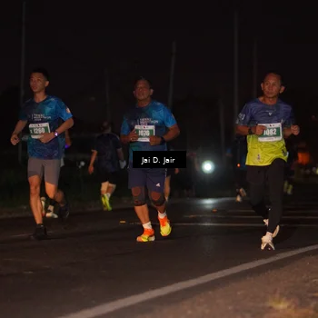 Runner Photo 4505459