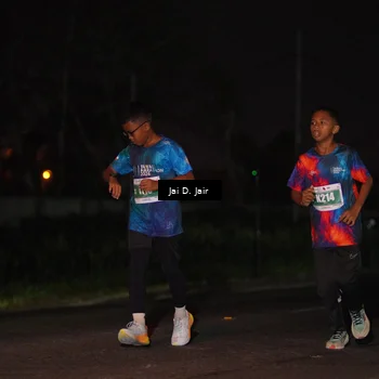 Runner Photo 4505604