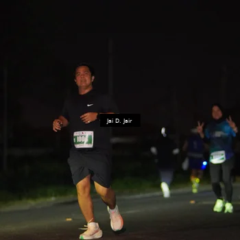 Runner Photo 4505739