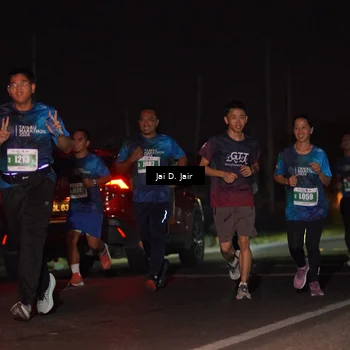 Runner Photo 4505782