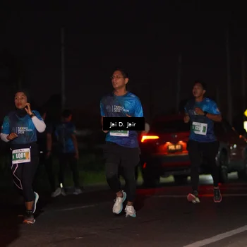 Runner Photo 4505819