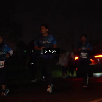 Runner Photo 4505832
