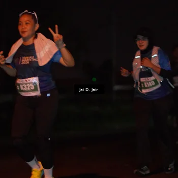 Runner Photo 4505943