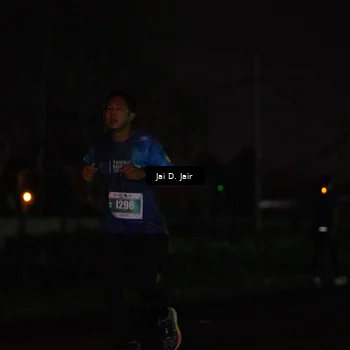 Runner Photo 4505980