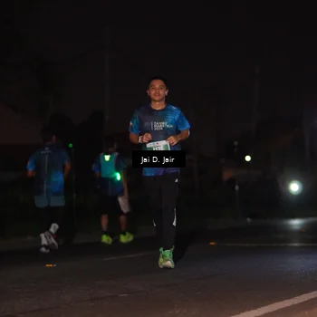 Runner Photo 4506076