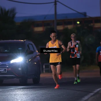Runner Photo 4506352