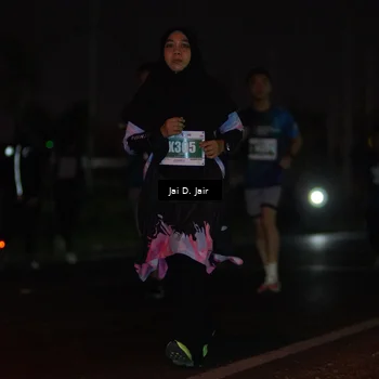 Runner Photo 4508064