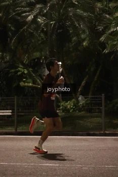 Runner Photo 4508206