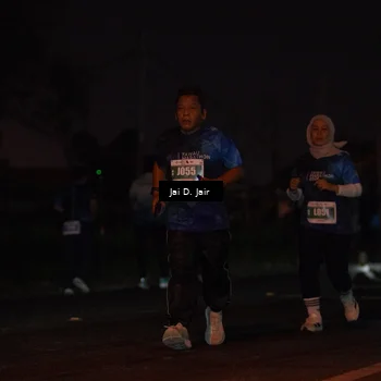 Runner Photo 4508208