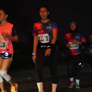 Runner Photo 4508281