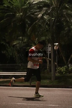 Runner Photo 4508291