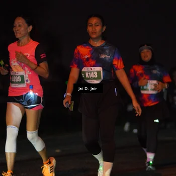 Runner Photo 4508443