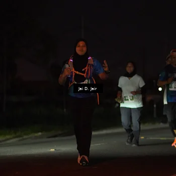 Runner Photo 4508530