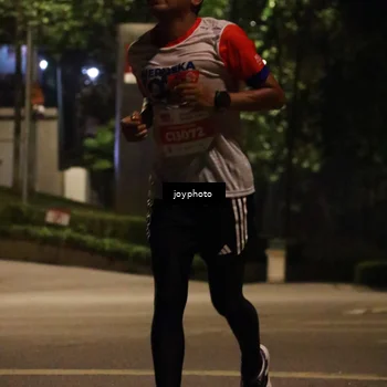 Runner Photo 4508683