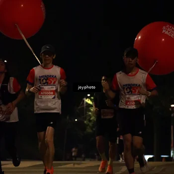 Runner Photo 4508840
