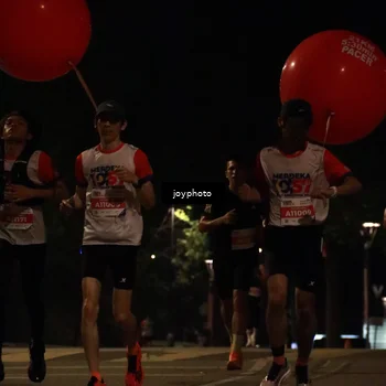 Runner Photo 4508869