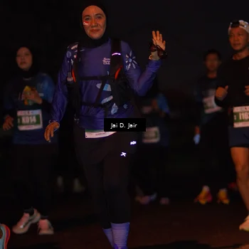 Runner Photo 4509213
