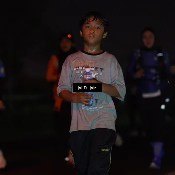 Runner Photo 4509238