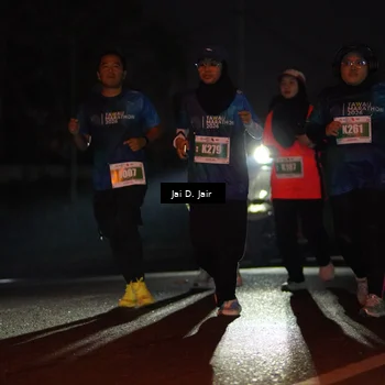 Runner Photo 4509461