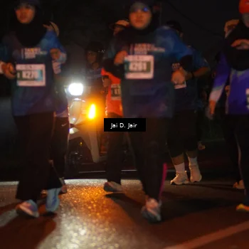 Runner Photo 4509470