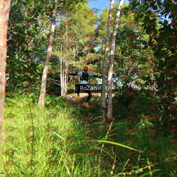 Runner Photo 4510