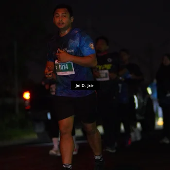 Runner Photo 4510069