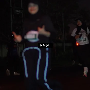Runner Photo 4510890