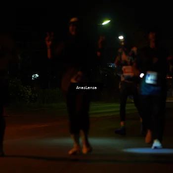 Runner Photo 4511099