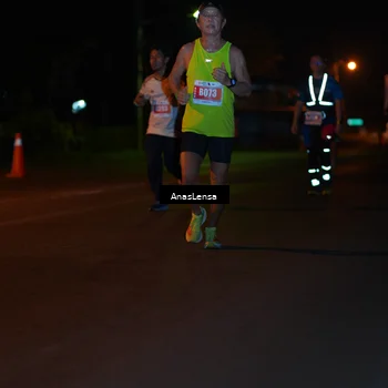 Runner Photo 4511215