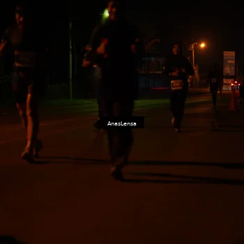 Runner Photo 4511496