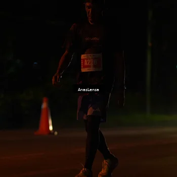 Runner Photo 4511710