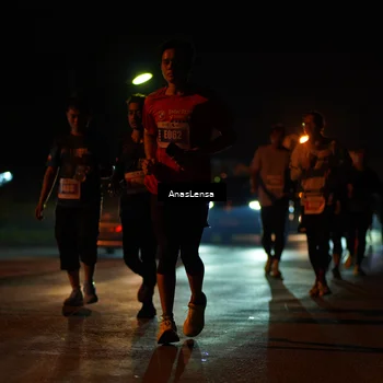Runner Photo 4511979