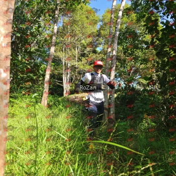 Runner Photo 4512