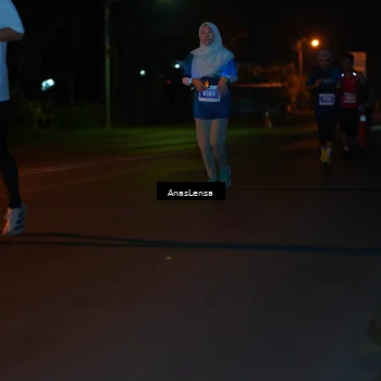 Runner Photo 4513496