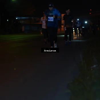 Runner Photo 4513528