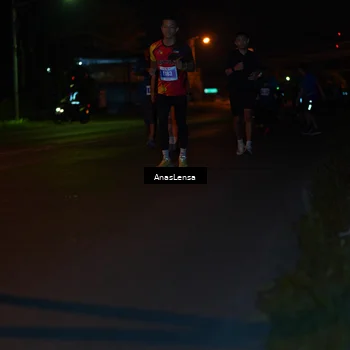 Runner Photo 4514441