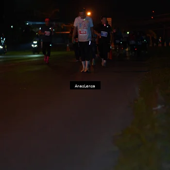 Runner Photo 4514991