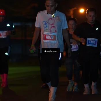 Runner Photo 4515106