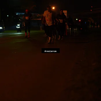 Runner Photo 4515123