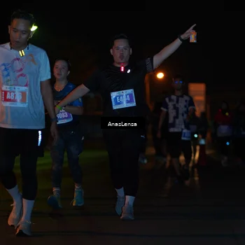 Runner Photo 4515133