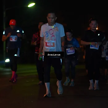 Runner Photo 4515274